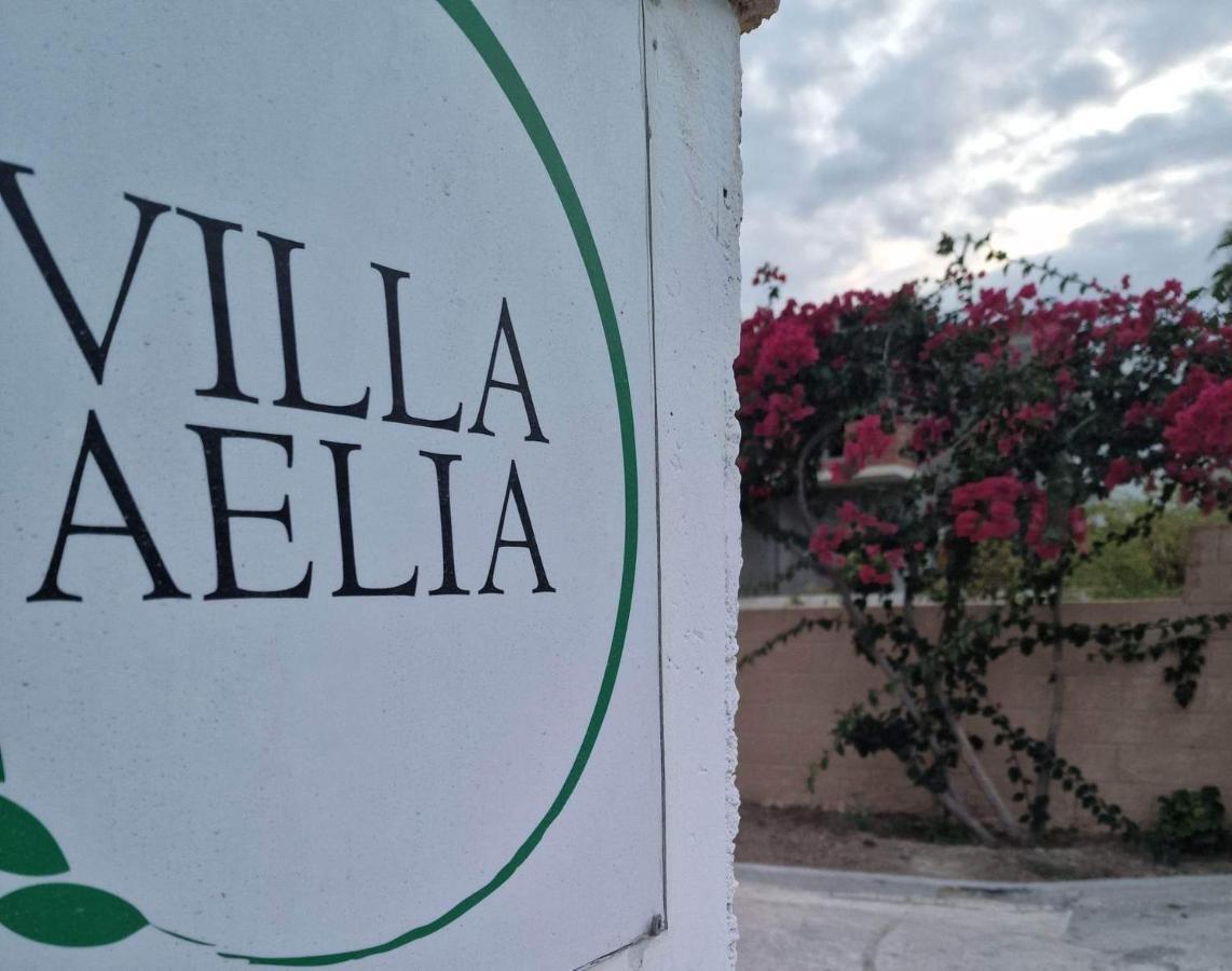 Aelia House Kefalos - Cozy & Quiet Exterior photo